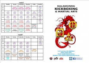 dojo flyer; Term 2 2015